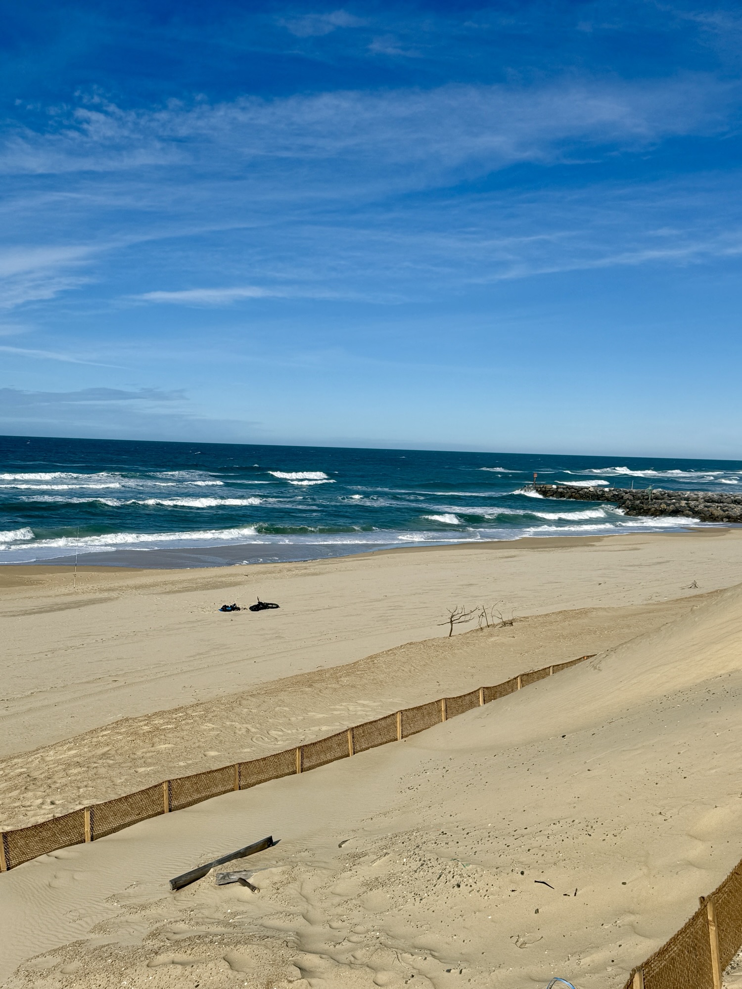 Saturday 15th November 2025 – Mimizan-Plage Sud…. | Freedombird.blog